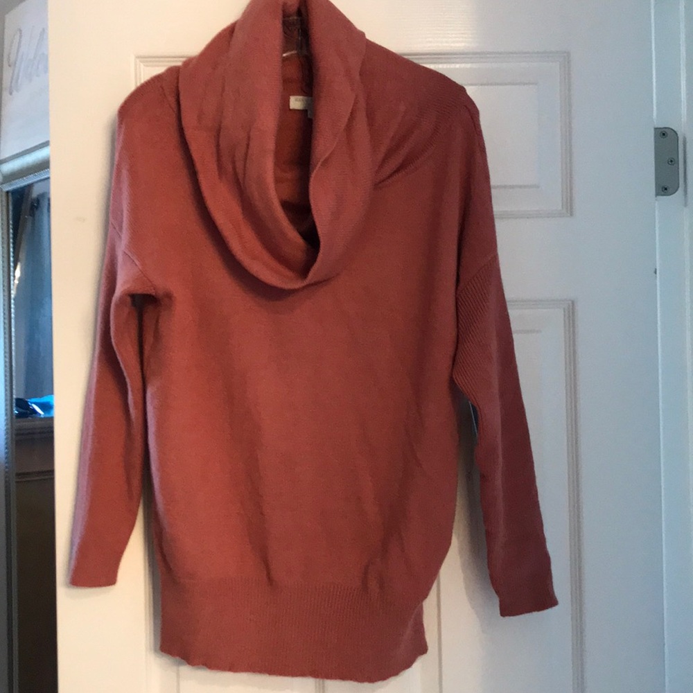 Pink turtleneck sweater